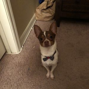 Meet your Posher, Tamika